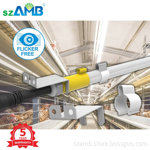 warranty 120lm/W 200W led flicker free tunnel light